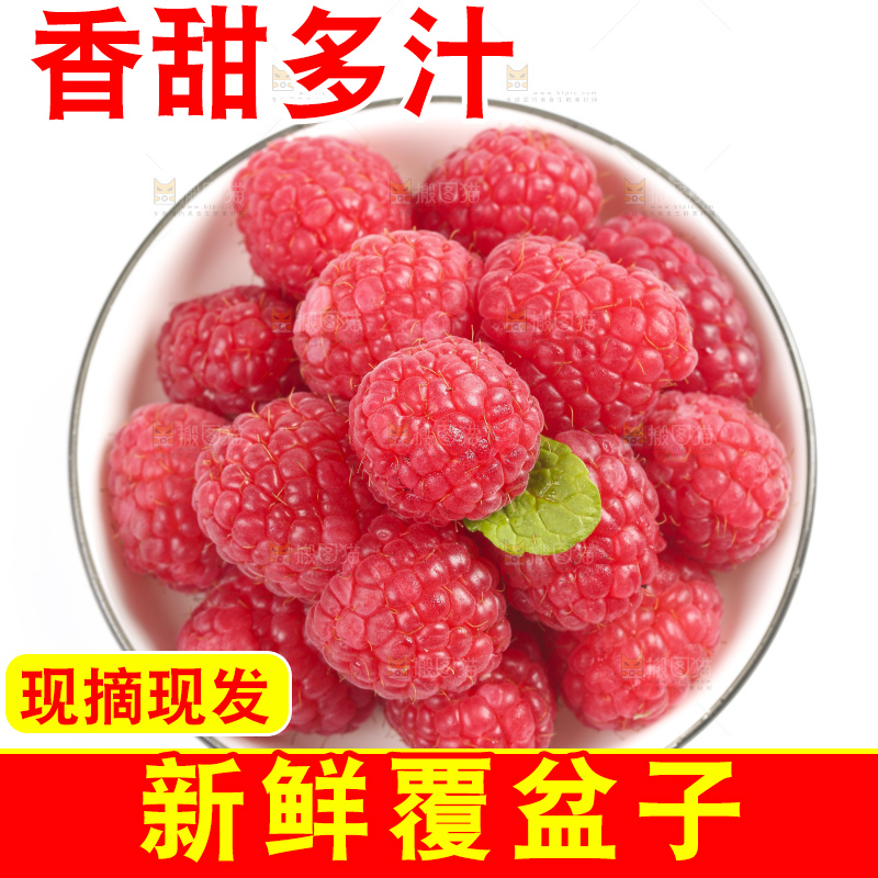 白底上的新鲜覆盆子
