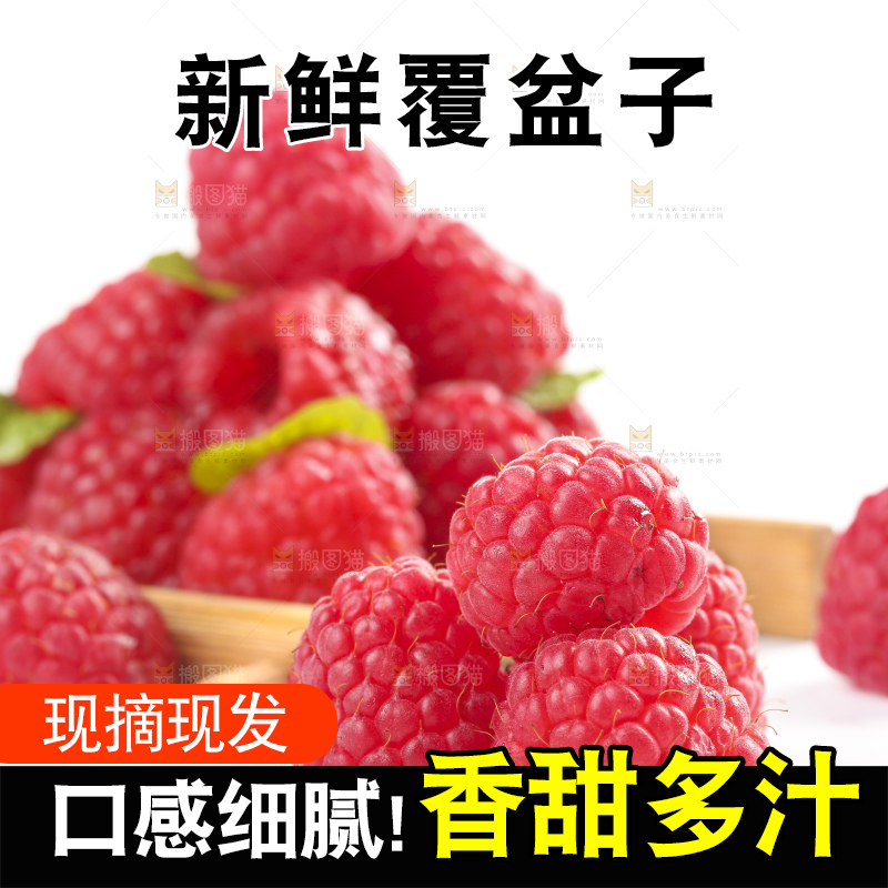 白底上的新鲜覆盆子