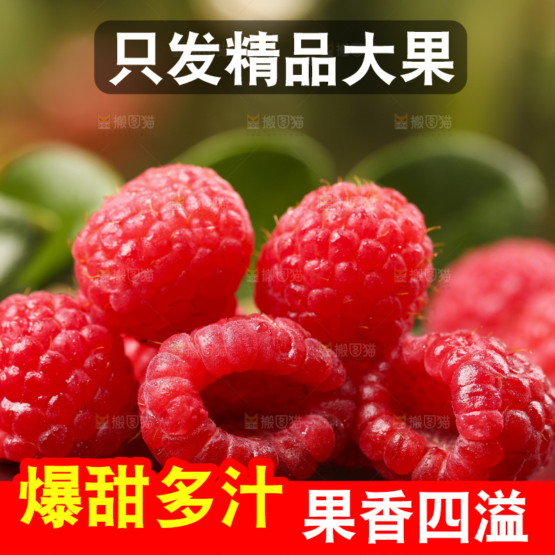 深底上的新鲜覆盆子