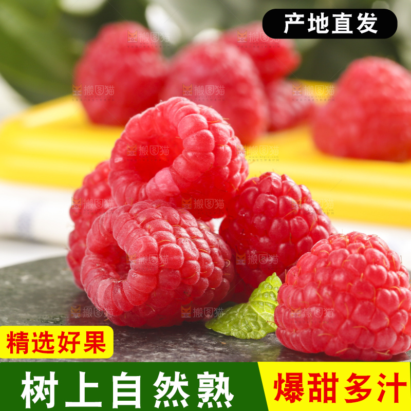 浅底上的新鲜覆盆子