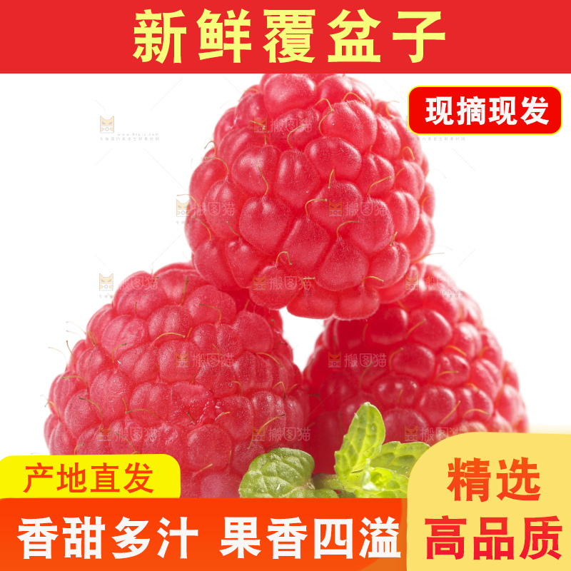 白底上的新鲜覆盆子