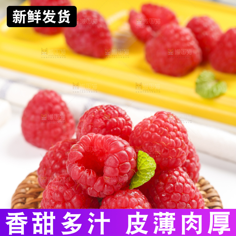 浅底上的新鲜覆盆子