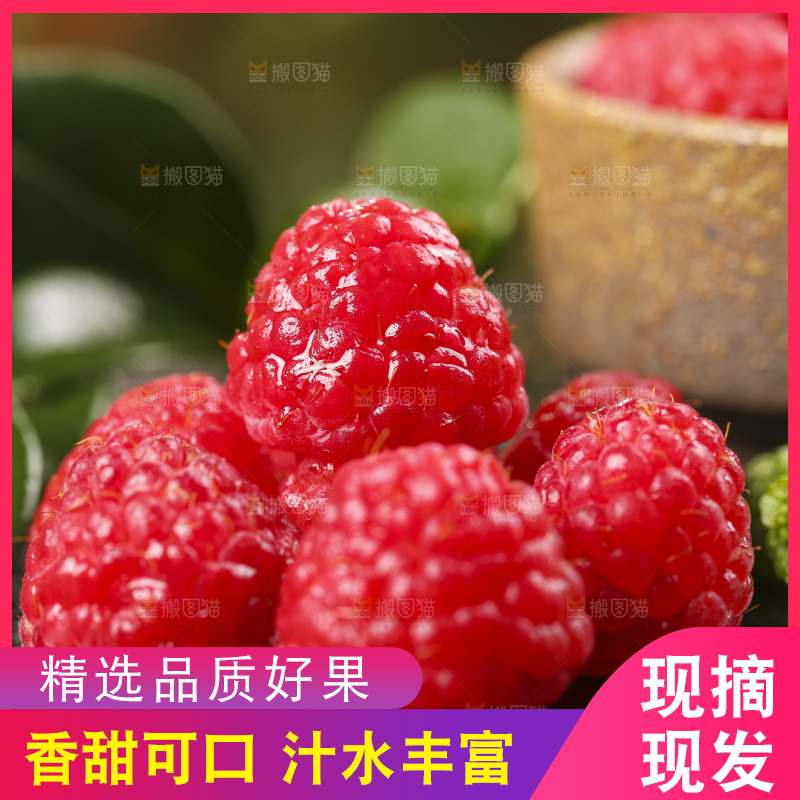 深底上的新鲜覆盆子