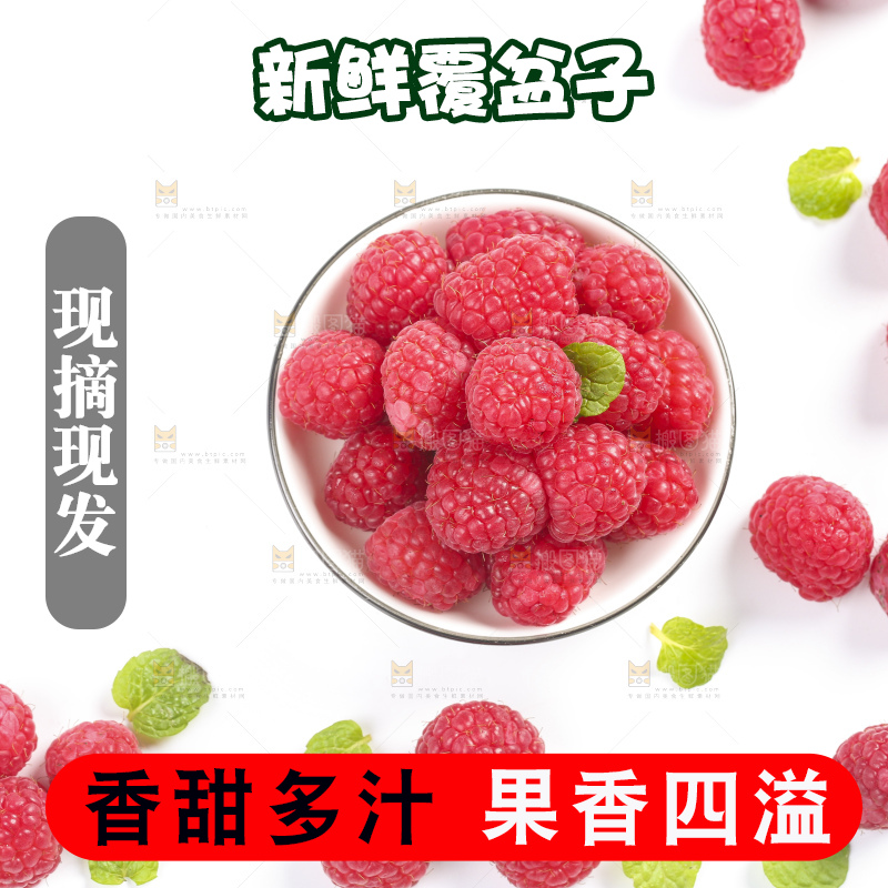 白底上的新鲜覆盆子