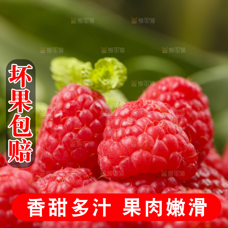 深底上的新鲜覆盆子