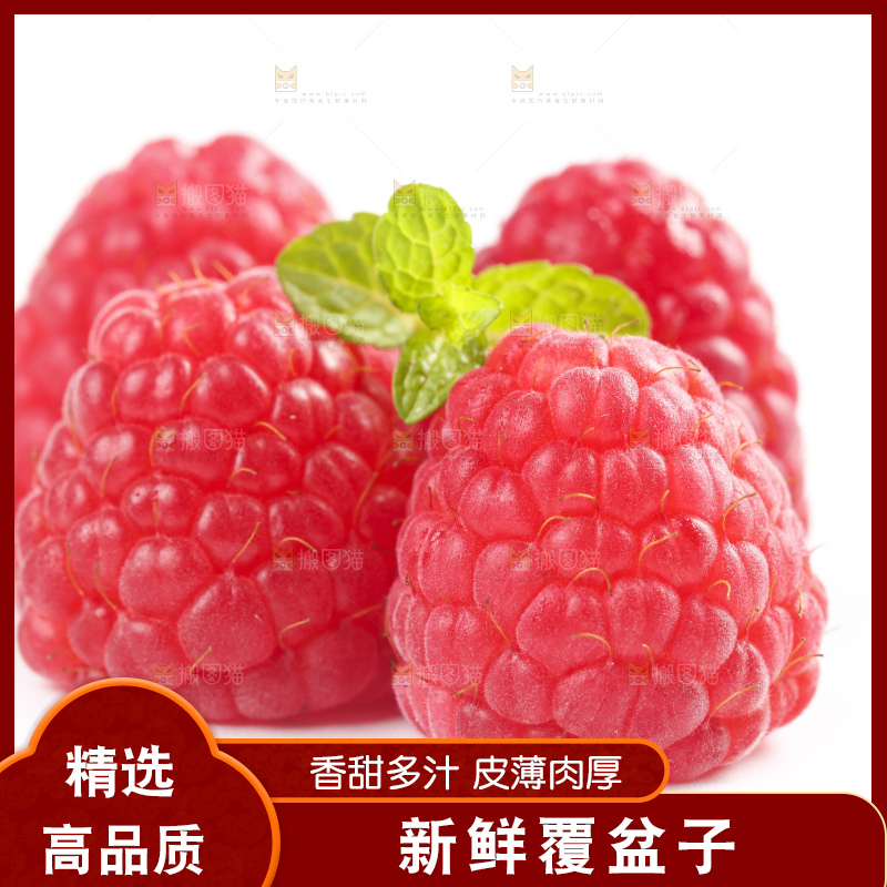 白底上的新鲜覆盆子