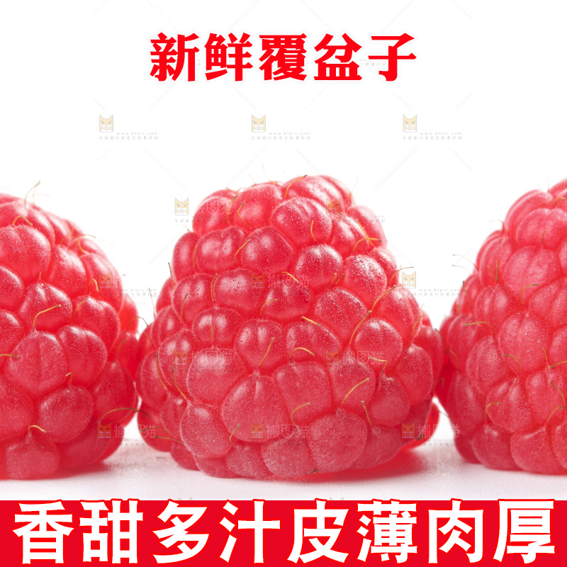 白底上的新鲜覆盆子