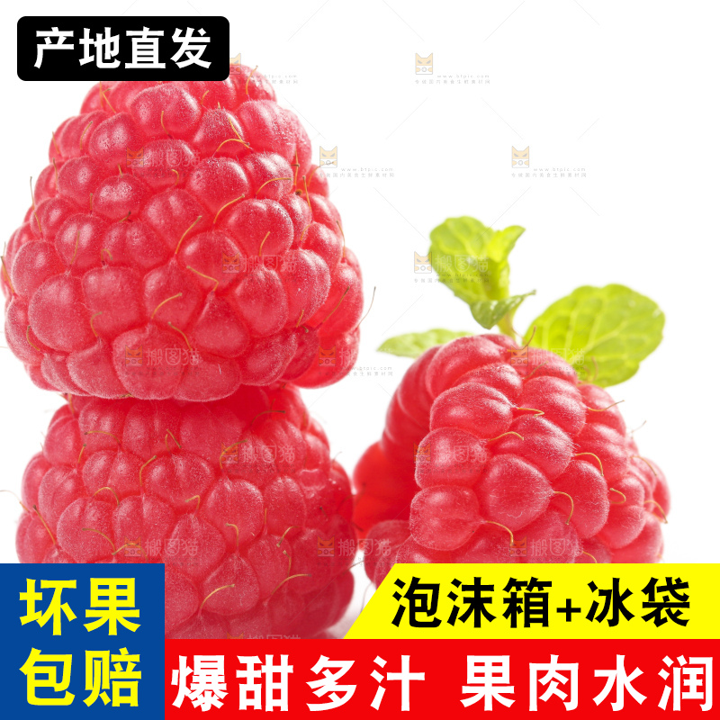 白底上的新鲜覆盆子