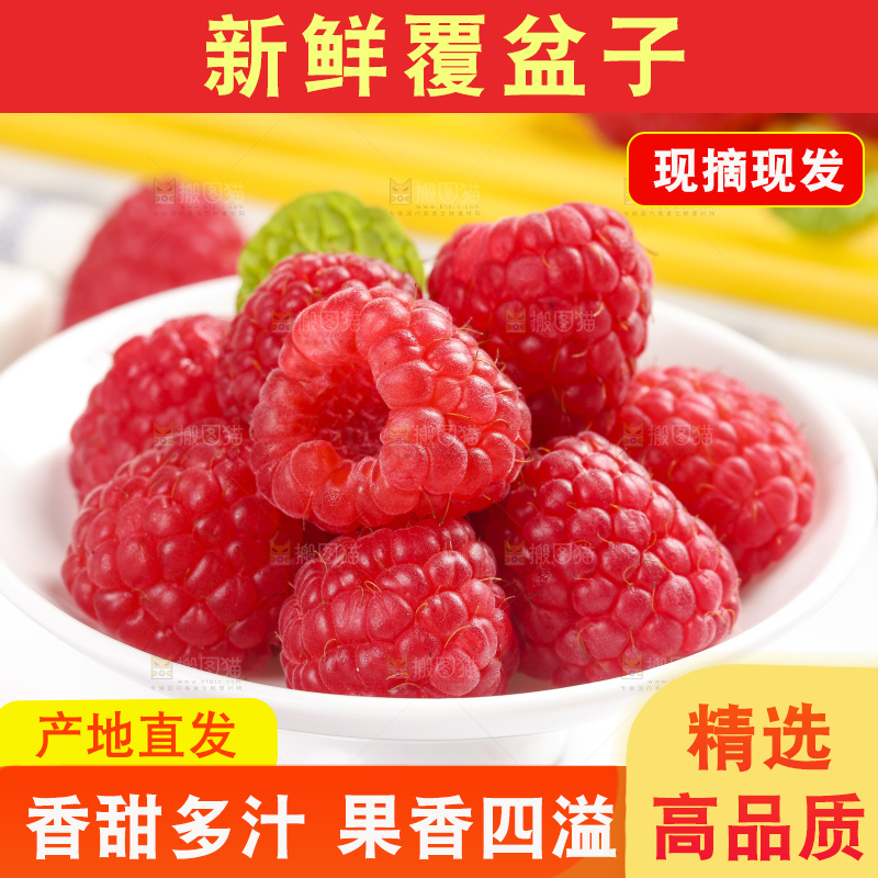 浅底上的新鲜覆盆子
