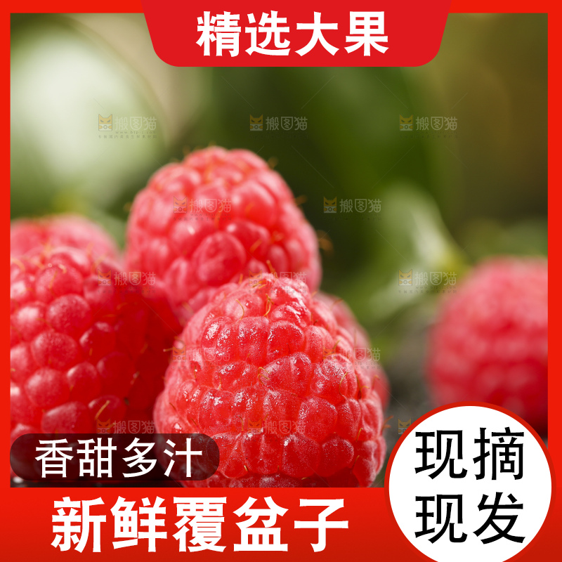 深底上的新鲜覆盆子