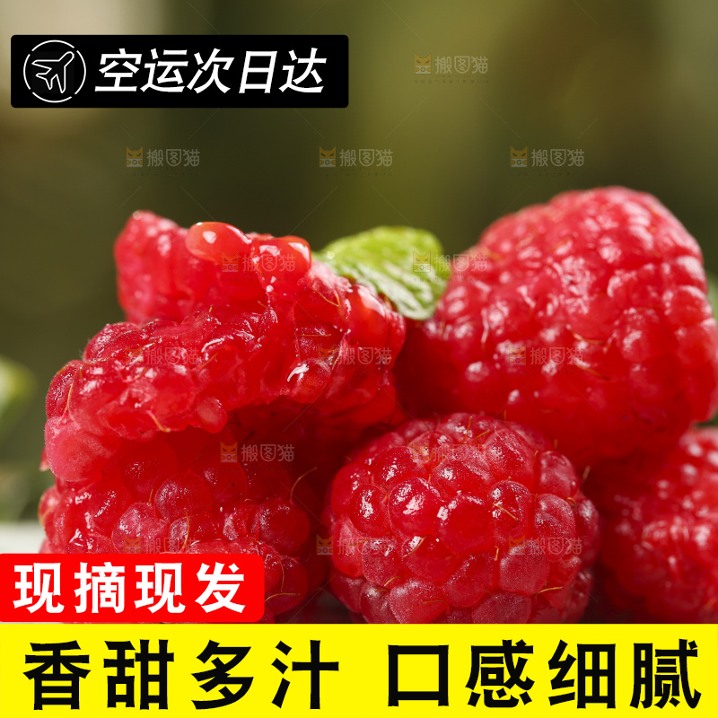 深底上的新鲜覆盆子