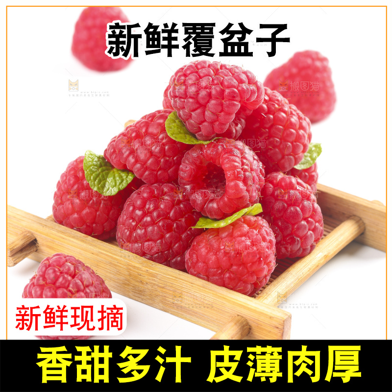 白底上的新鲜覆盆子