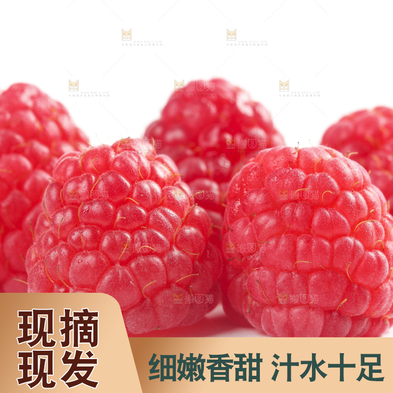 白底上的新鲜覆盆子
