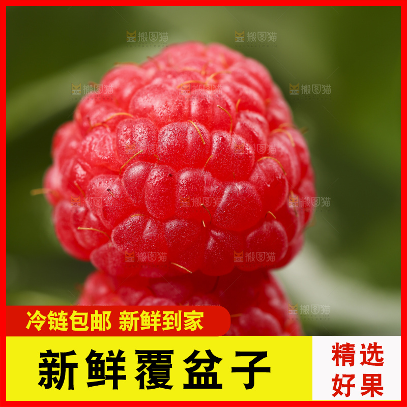 深底上的新鲜覆盆子