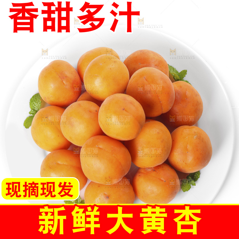 白底上的大黄杏