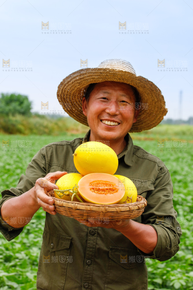 手里拿着的黄河蜜瓜
