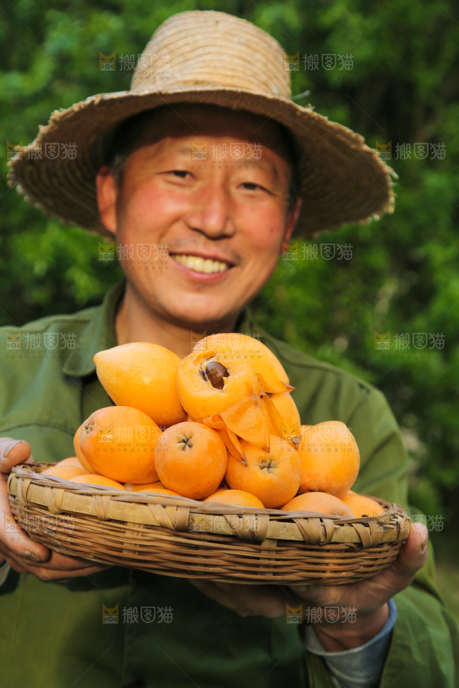 手里拿着米易枇杷