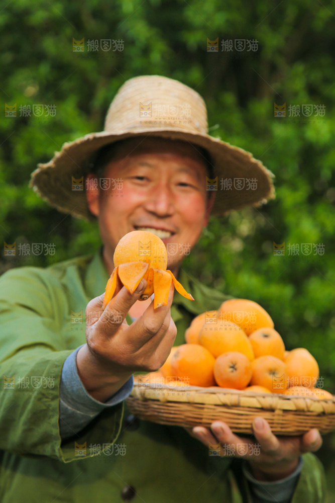 手里拿着米易枇杷