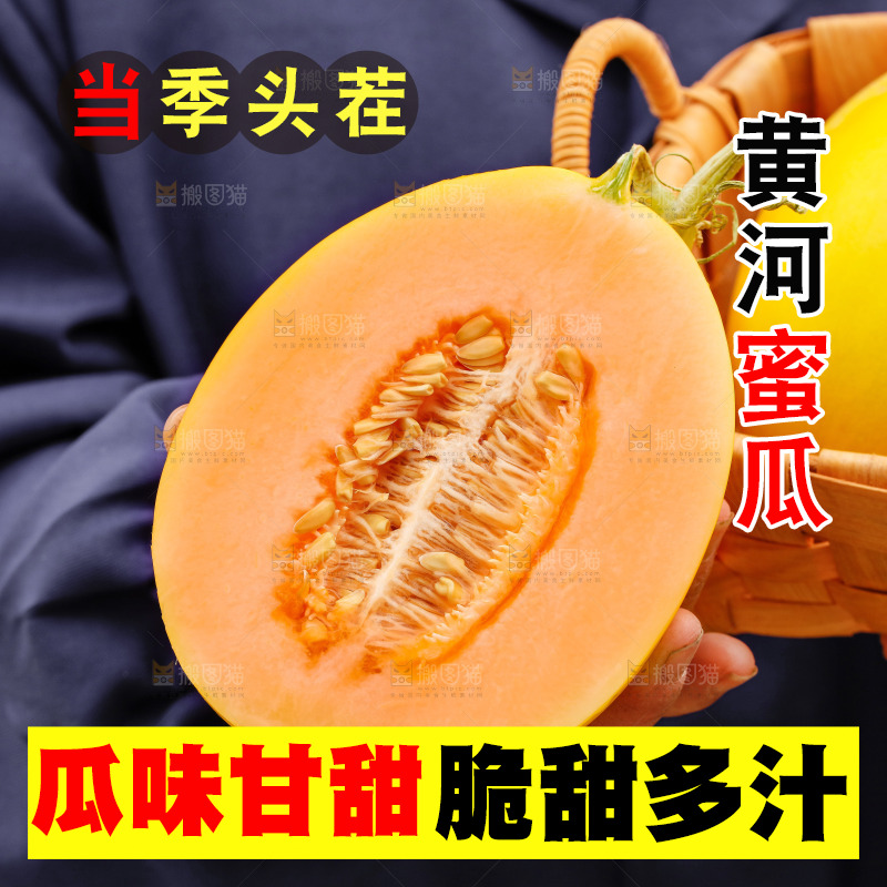 手里拿着的黄河蜜瓜