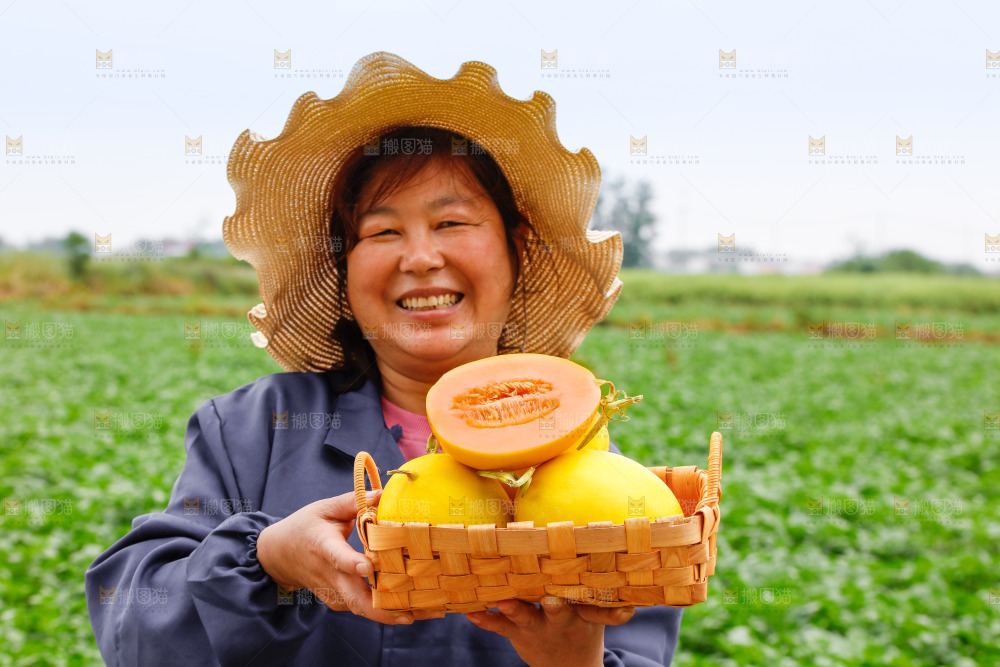 手里拿着的黄河蜜瓜