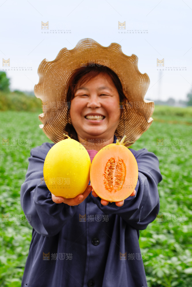 手里拿着的黄河蜜瓜