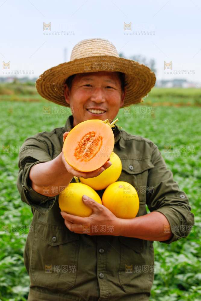 手里拿着的黄河蜜瓜