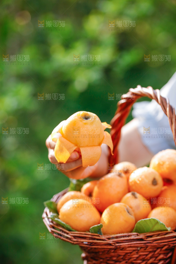 手里拿着米易枇杷