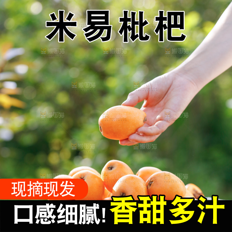 桌子上放着米易枇杷