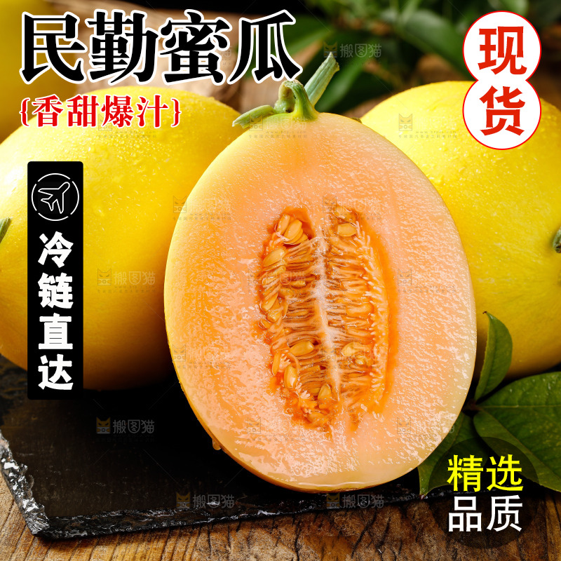 深底上的黄河蜜瓜