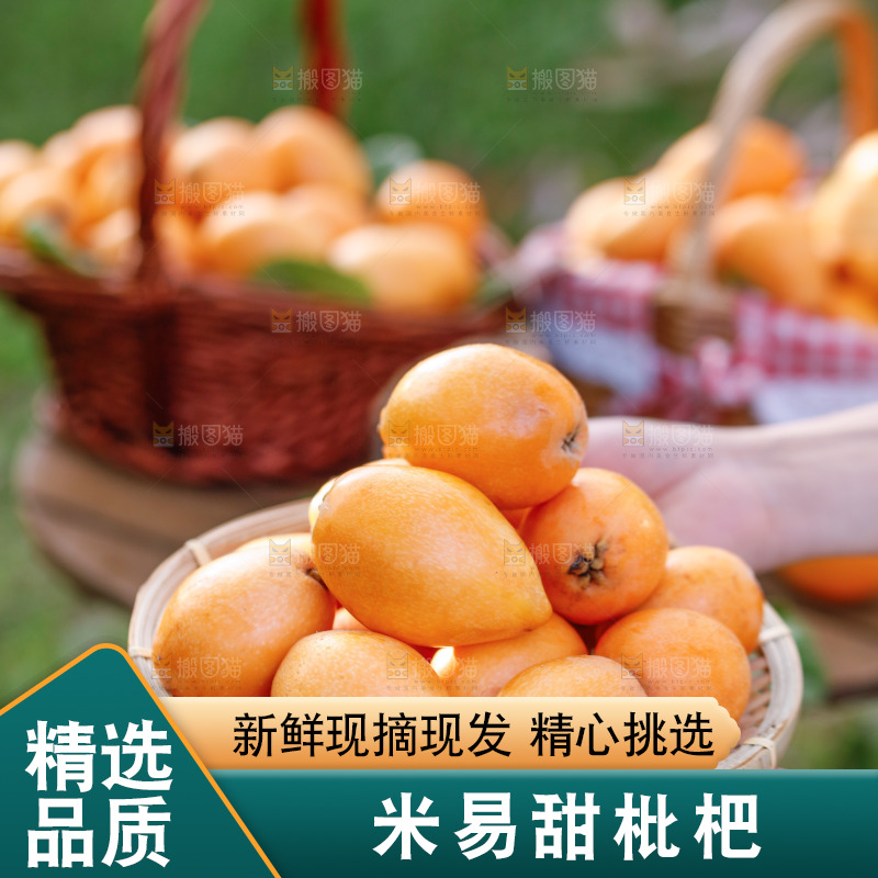 手里拿着米易枇杷
