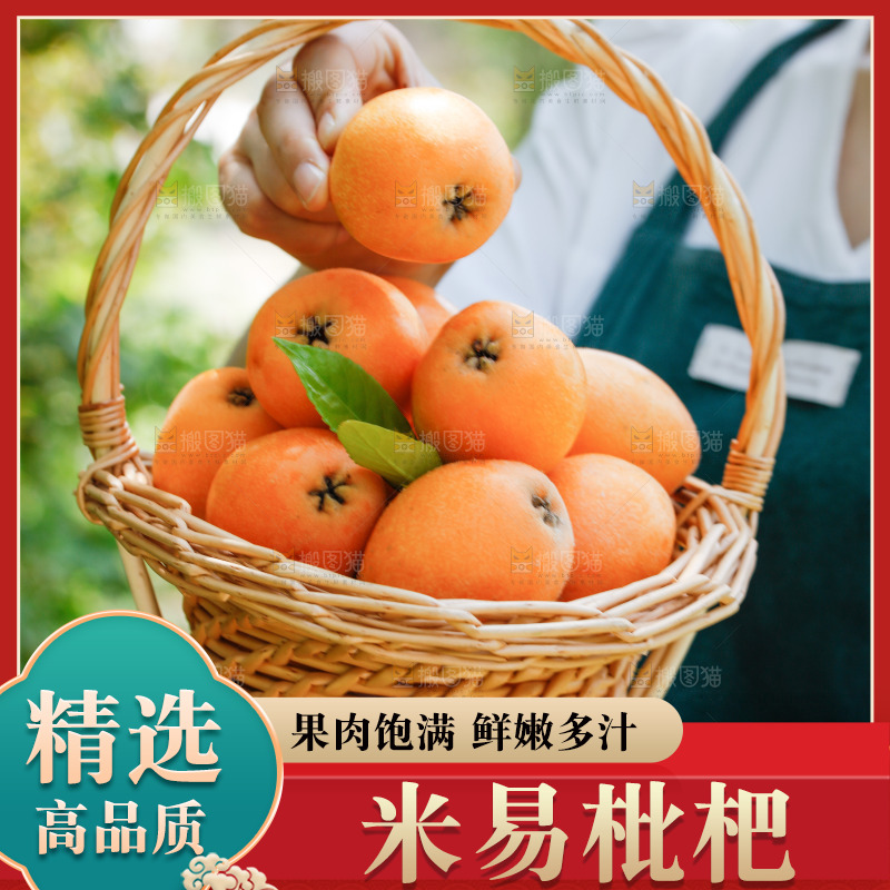手里拿着米易枇杷