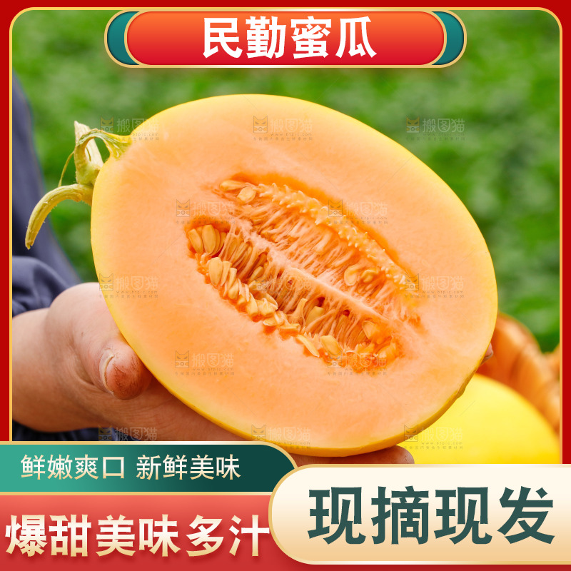 手里拿着的黄河蜜瓜
