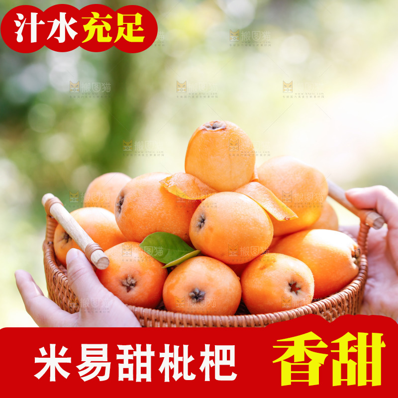 手里拿着米易枇杷