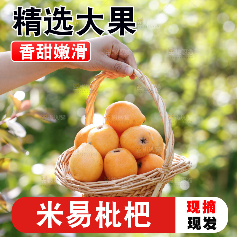 手里拿着米易枇杷