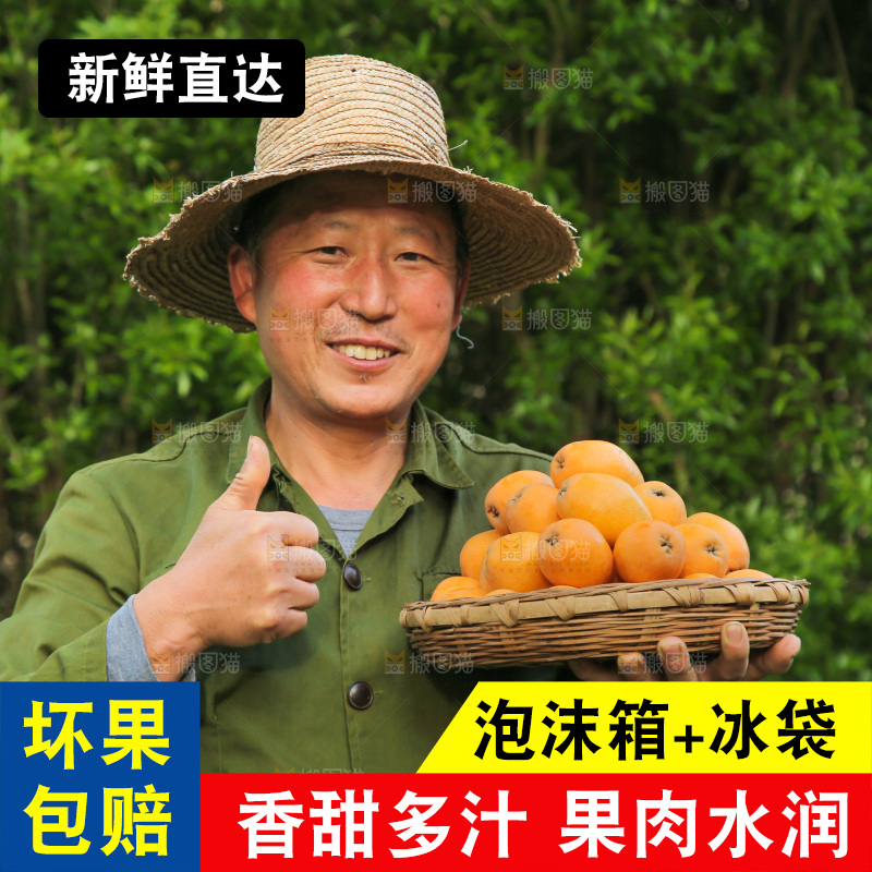 手里拿着米易枇杷