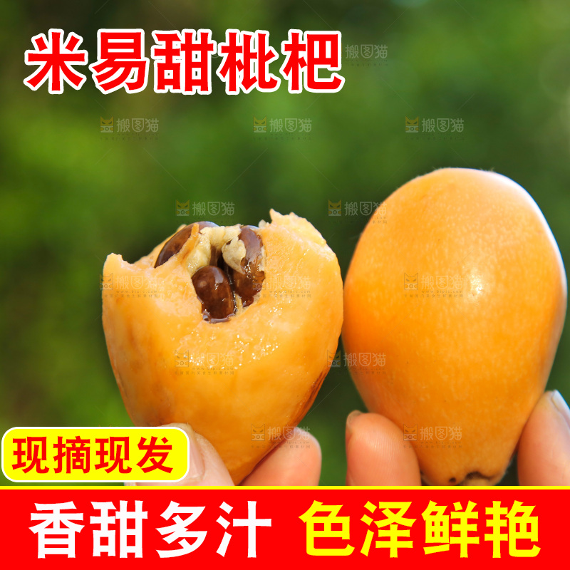 手里拿着米易枇杷