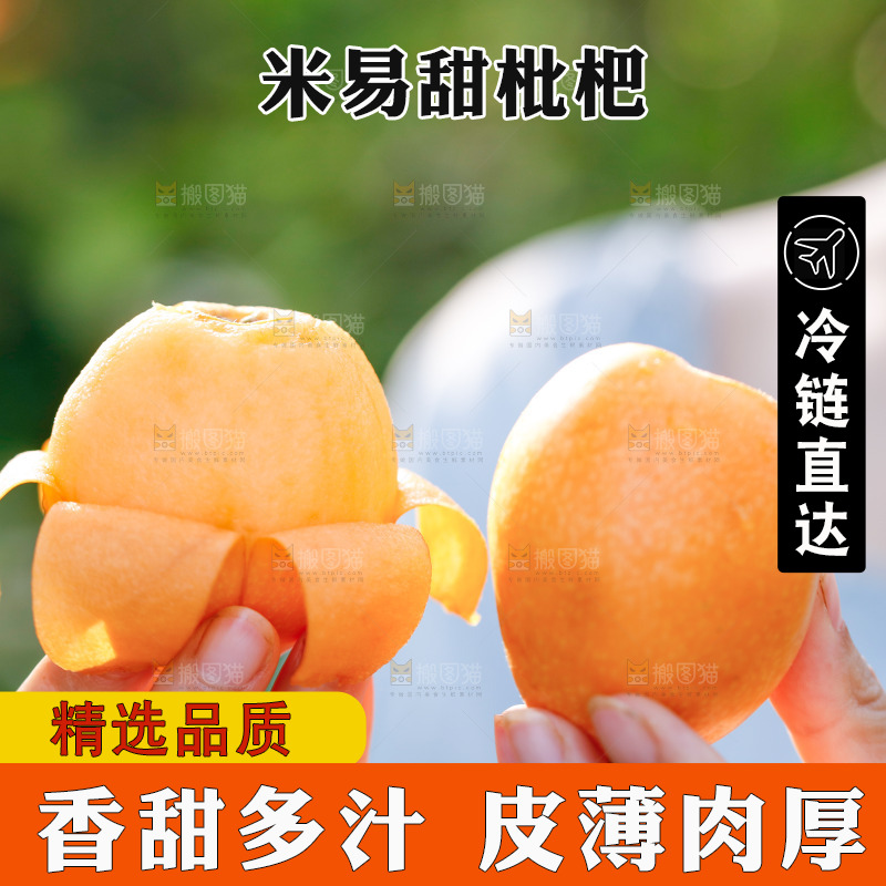 手里拿着米易枇杷
