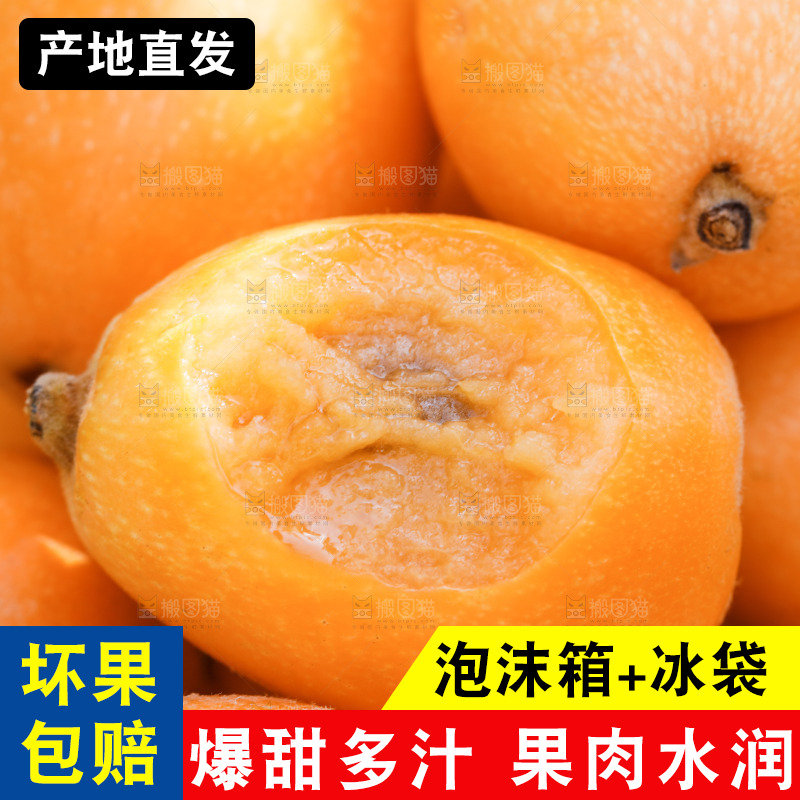 手里拿着米易枇杷