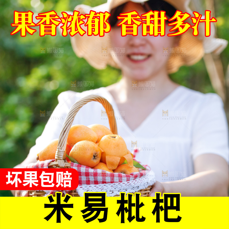 手里拿着米易枇杷