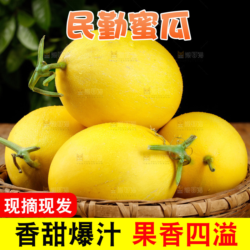 深底上的黄河蜜瓜