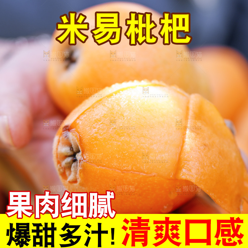 手里拿着米易枇杷