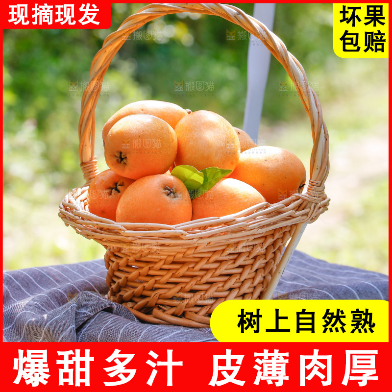 桌子上放着米易枇杷