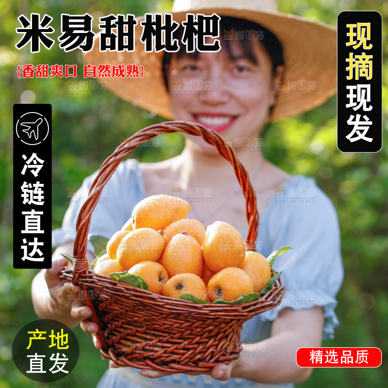 手里拿着米易枇杷