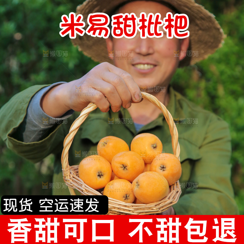 手里拿着米易枇杷