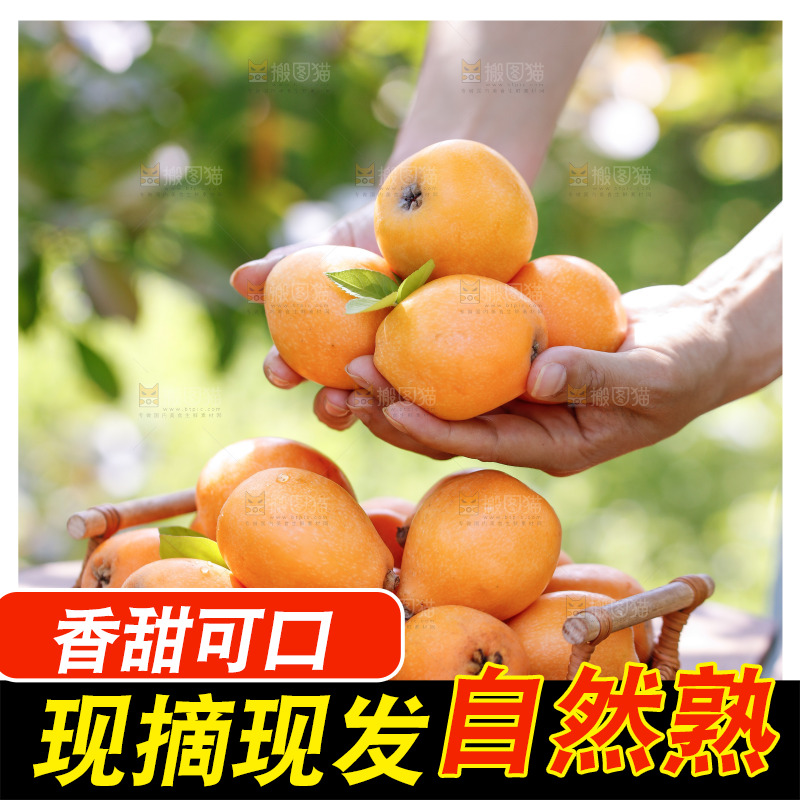 桌子上放着米易枇杷