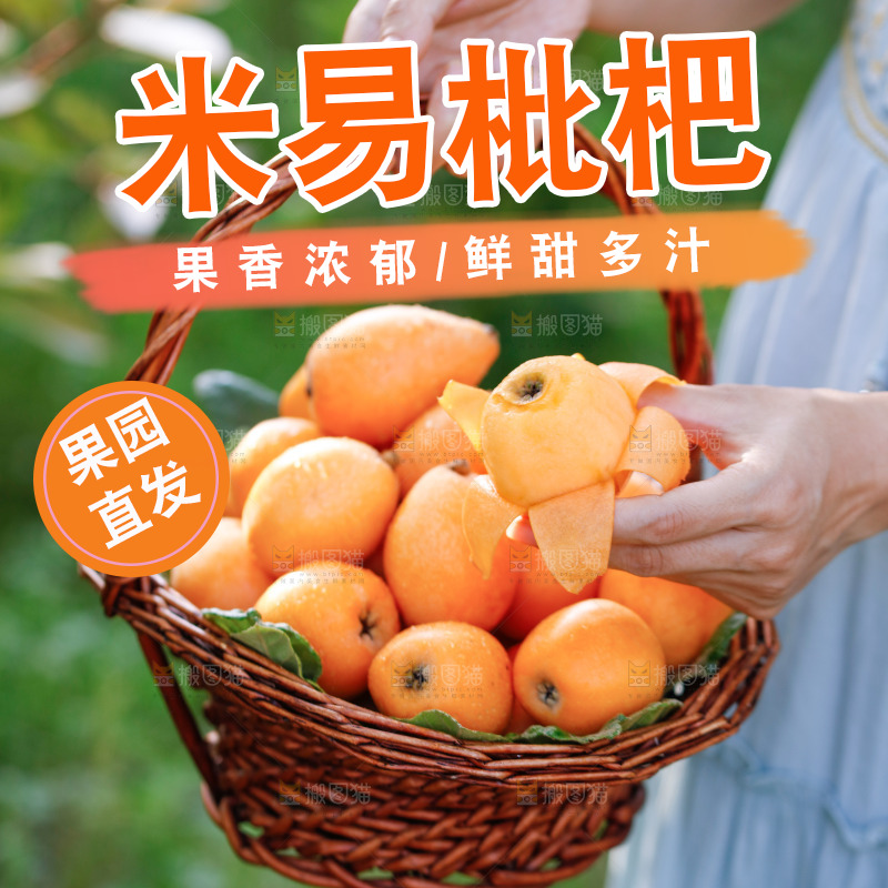 手里拿着米易枇杷