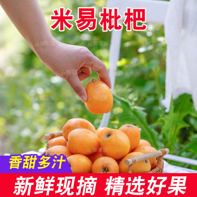 桌子上放着米易枇杷
