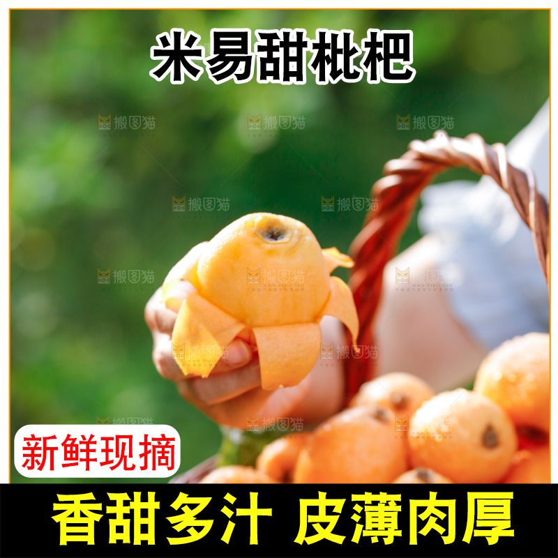 手里拿着米易枇杷