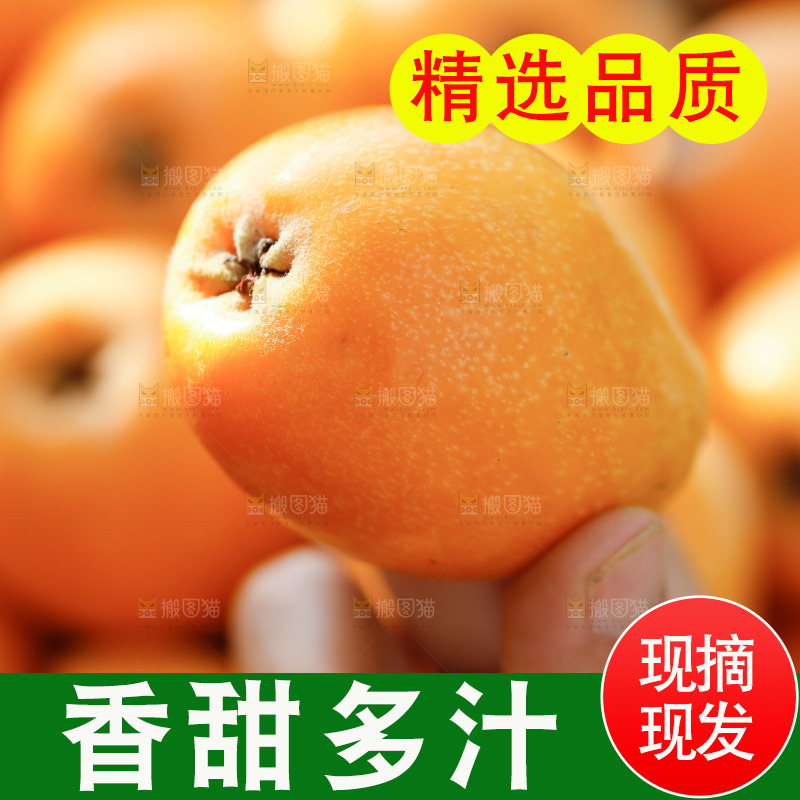 手里拿着米易枇杷