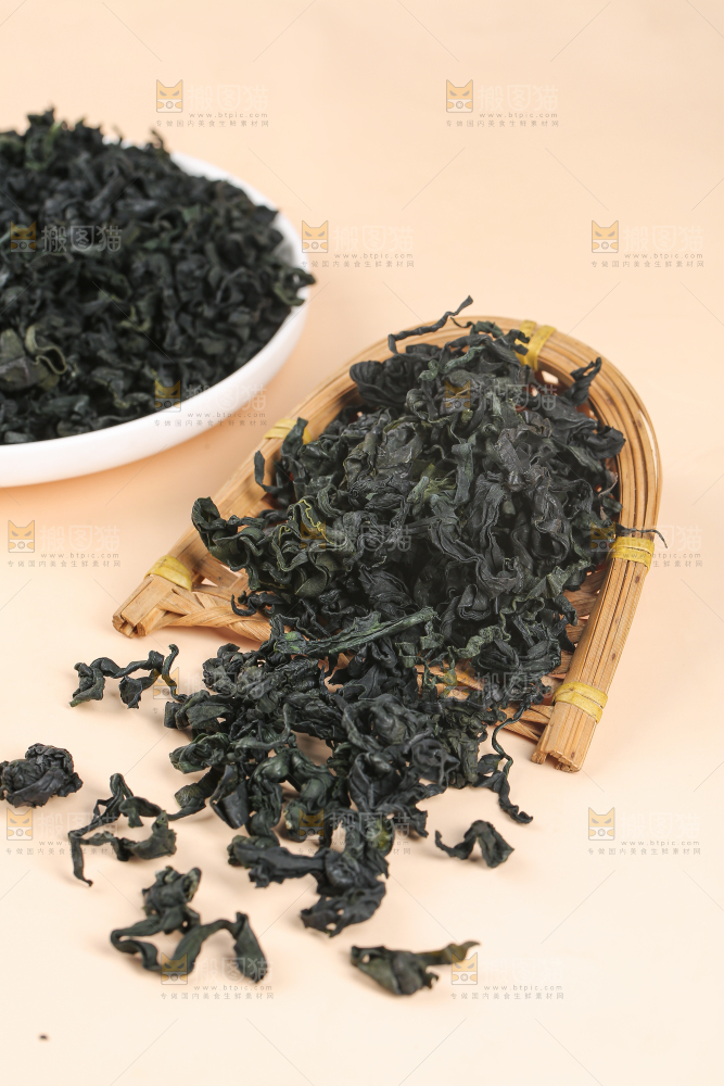 浅底上的裙带菜